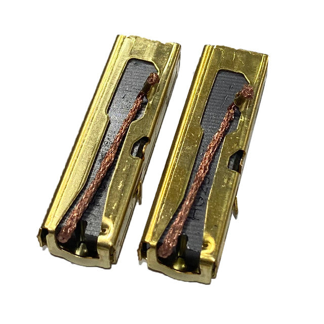 Nilfisk Carbon Brush Assy Kit 2 Pcs 110 120 V