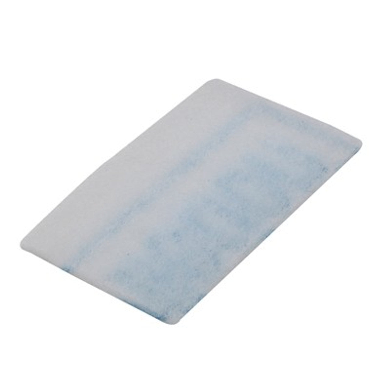 Sebo Pre Motor Filter for C Series machines