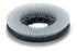 Numatic TTB6652 330mm Nyloscrub Twin Brush