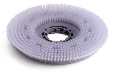 Numatic TTB4550 500mm Nyloscrub Brush (Single)