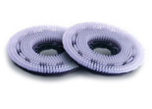 Numatic 244NX Nyloscrub Brush