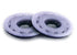 Numatic 244NX Nyloscrub Brush