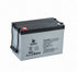 BSH - GB12105 - GB12105-EV - 12v - PEGASUS - MCA Monoblock  - AGM 500 Cycles - 105ah - 307 x 169 x 216 - 30.2kgs - T3 6MM