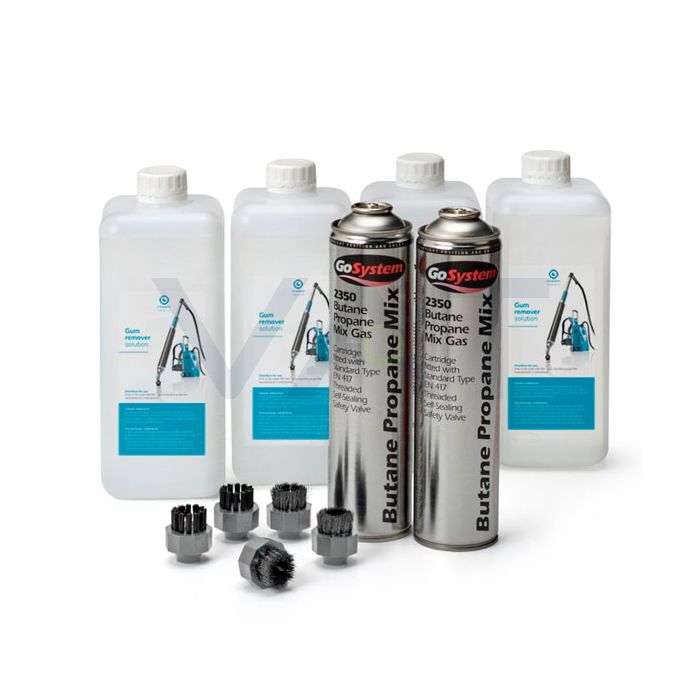 Iteam - IGUMCHEM - 1 Litre I-Remove Chemical - case 12 - igum