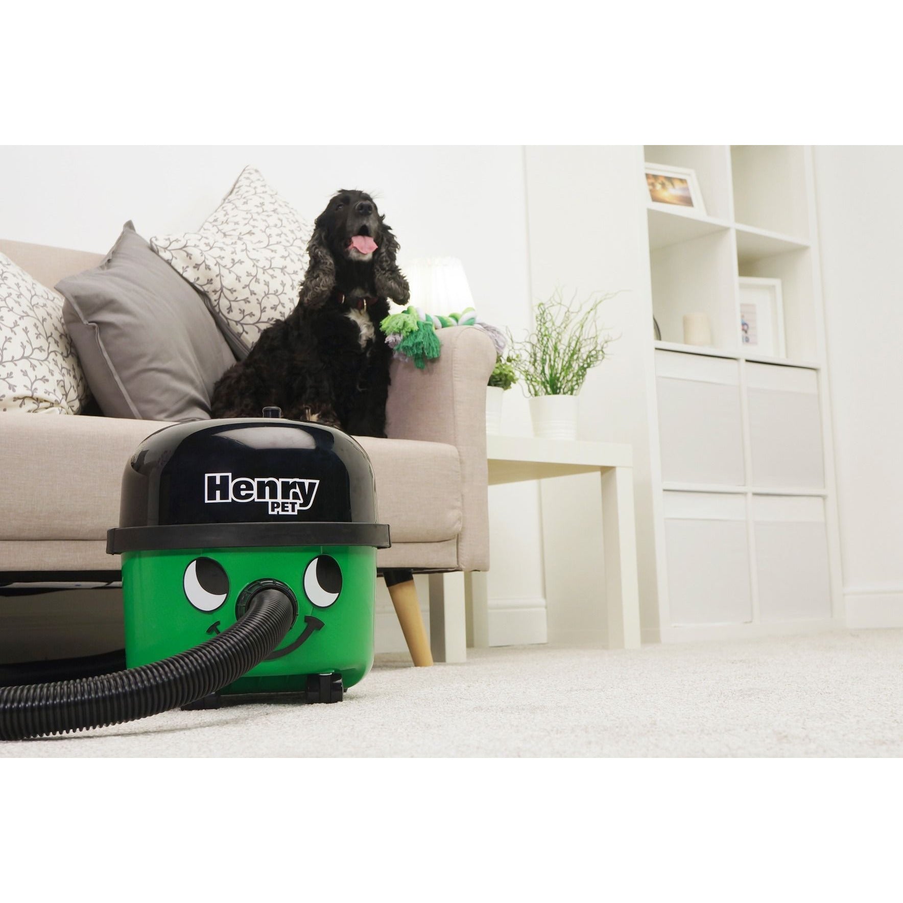 Numatic Henry Pet PET200 - The Henry for pet owners -  Cylinder Vacuum Cleaner - Numatic